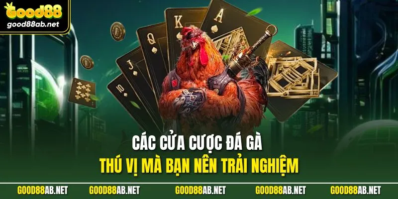 Các cửa cược đá gà thú vị mà bạn nên trải nghiệm