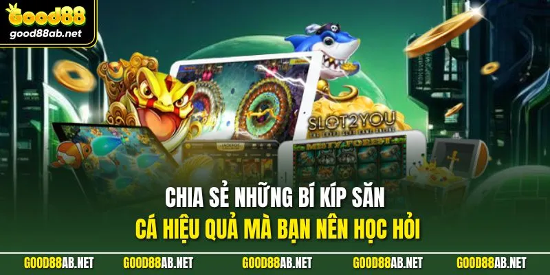 Chia sẻ những bí kíp săn cá hiệu quả mà bạn nên học hỏi