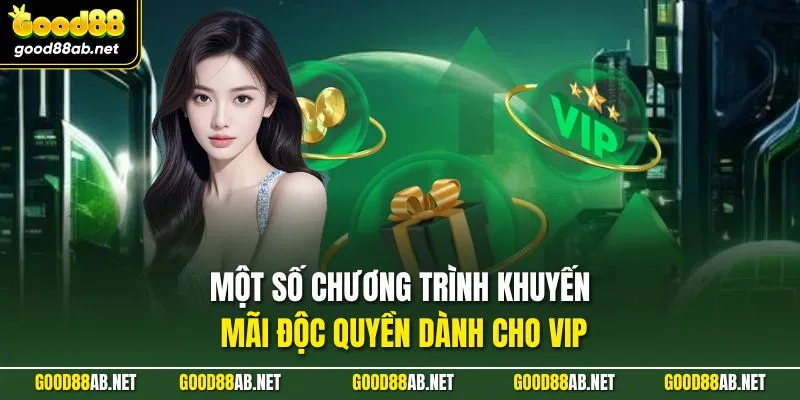 Một số chương trình khuyến mãi độc quyền dành cho VIP