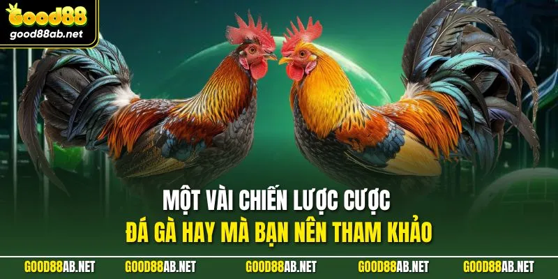 Một vài chiến lược cược đá gà hay mà bạn nên tham khảo