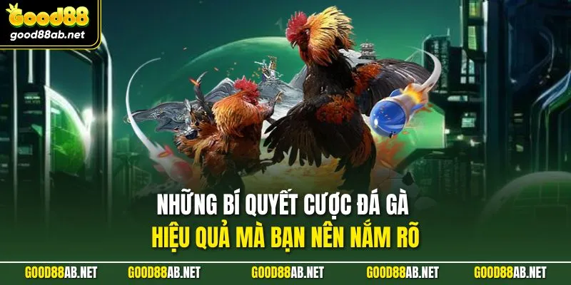 Những bí quyết cược đá gà hiệu quả mà bạn nên nắm rõ