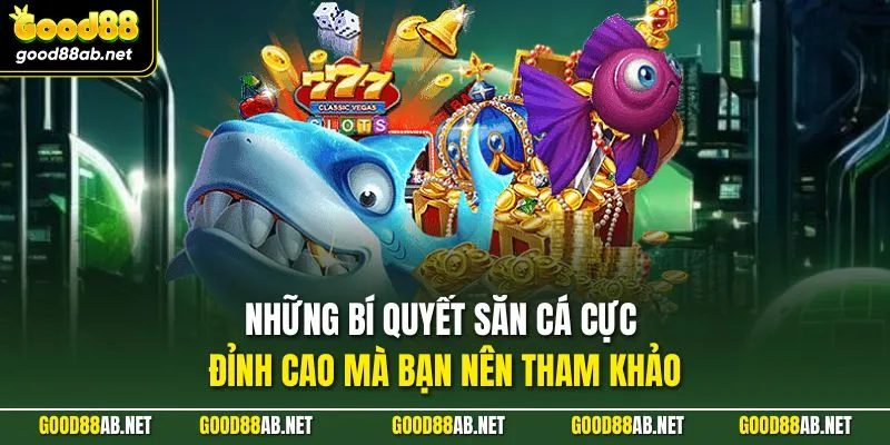 Những bí quyết săn cá cực đỉnh cao mà bạn nên tham khảo