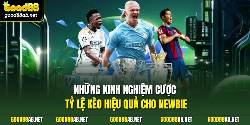 Những kinh nghiệm cược tỷ lệ kèo hiệu quả cho newbie