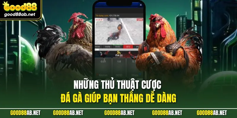Những thủ thuật cược đá gà giúp bạn thắng dễ dàng
