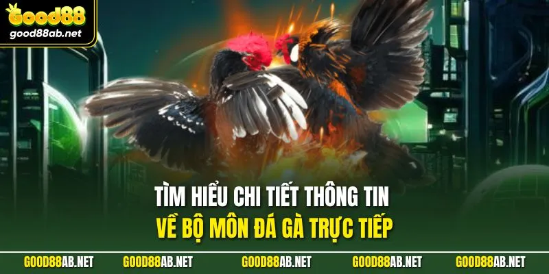 Tìm hiểu chi tiết thông tin về bộ môn đá gà trực tiếp